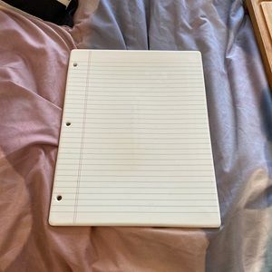 Fishs Eddy Looseleaf Paper Serving Tray